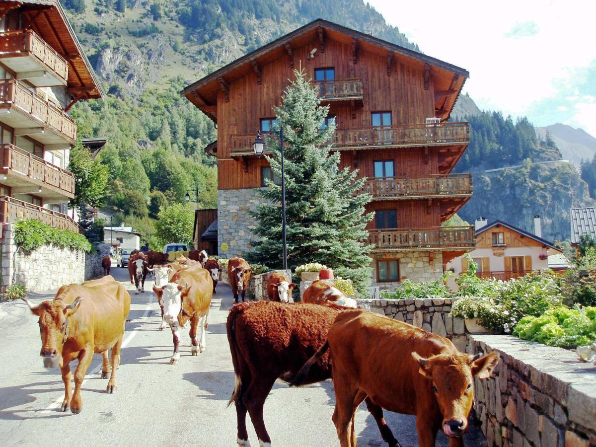 Appartement Chalet Bouquetin- Aigle Royal à La Plagne Extérieur photo